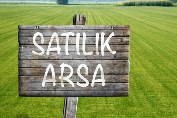 Şile Arsa Tarla Alım Satım